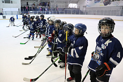  Нижневартовские хоккеисты выиграли "Открытый турнир, посвященный Дню защитника Отечества" среди юношей 2014г.р. 